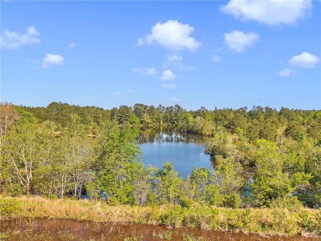 950 Red Fox Rd W, Mount Vernon, AL 36560 - view of water feature with a forest view