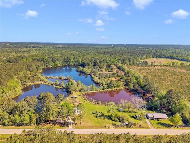 950 Red Fox Rd W, Mount Vernon, AL 36560 - drone / aerial view with a wooded view and a water view