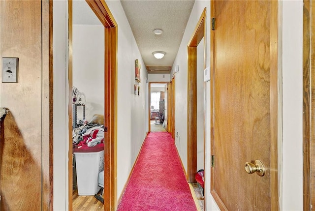 950 Red Fox Rd W, Mount Vernon, AL 36560 - corridor with a textured ceiling and carpet floors
