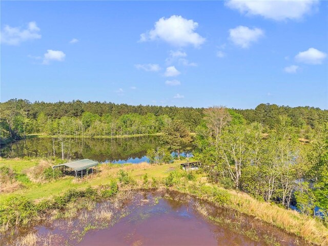 950 Red Fox Rd W, Mount Vernon, AL 36560 - aerial view with a water view and a view of trees