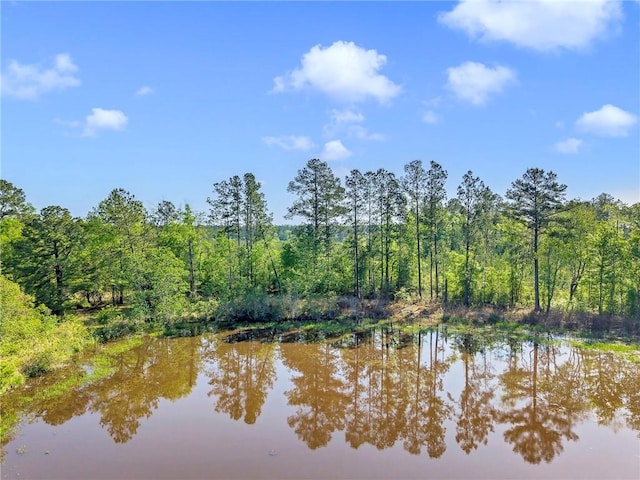 950 Red Fox Rd W, Mount Vernon, AL 36560 - view of water feature featuring a wooded view