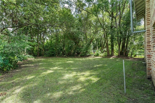 1509 Monroe St, Mobile, AL 36604 - view of green lawn