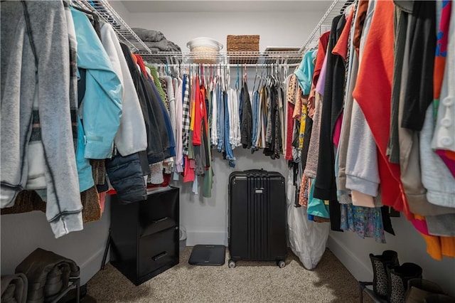 walk in closet with radiator and carpet