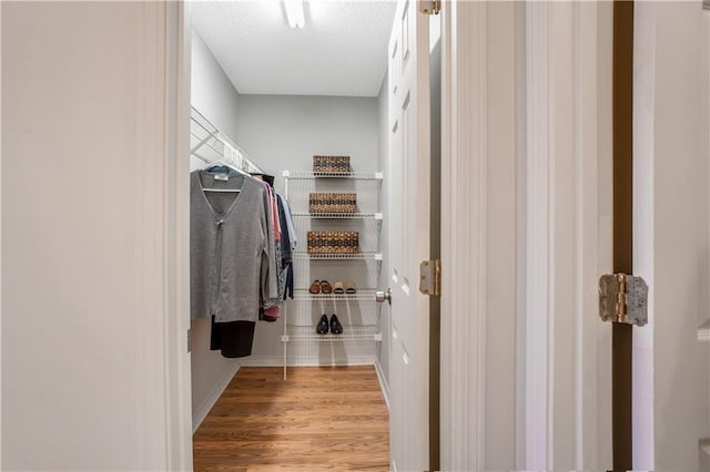 spacious closet with hardwood / wood-style floors