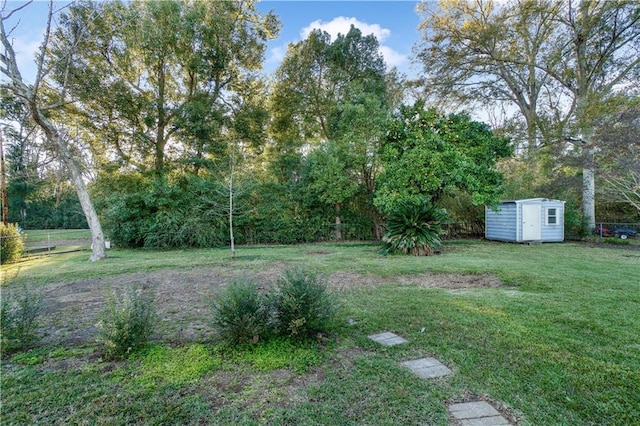 view of yard with a shed