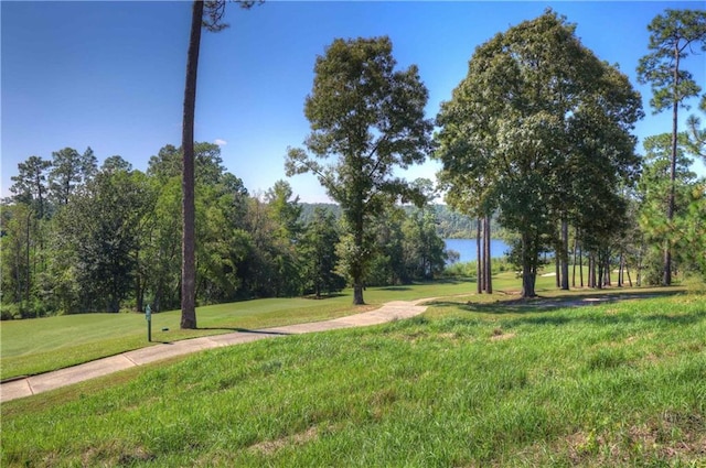 view of community featuring a yard