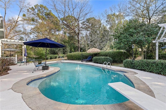 view of swimming pool featuring a patio and a diving board