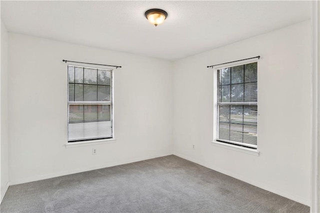 spare room with plenty of natural light and carpet