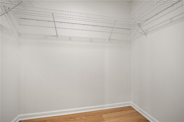 walk in closet featuring light wood-style flooring