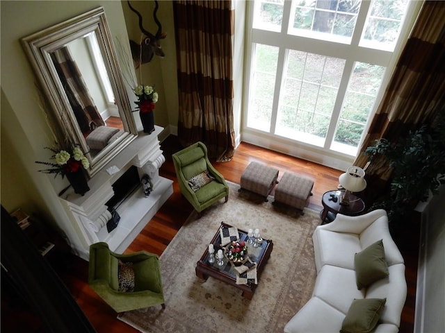 living room featuring hardwood / wood-style floors