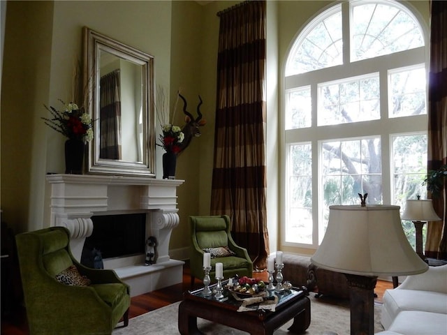 living room with hardwood / wood-style floors and a healthy amount of sunlight