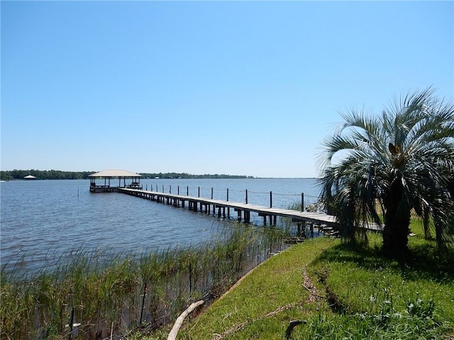 dock area with a water view