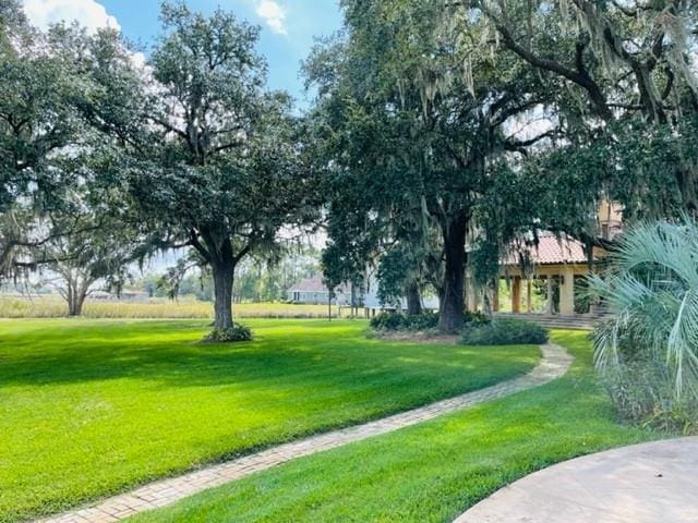 view of nearby features with a lawn