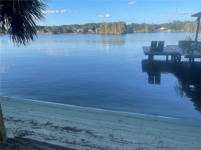 view of water feature with a boat dock