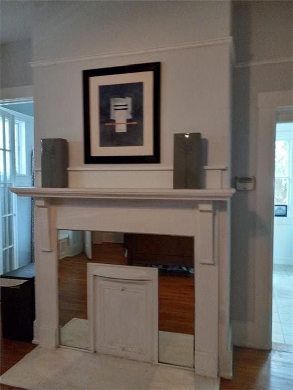 room details with wood-type flooring