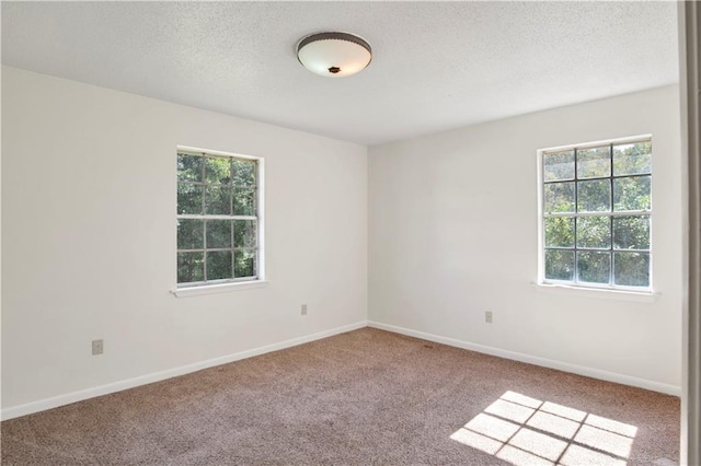 spare room with plenty of natural light, a textured ceiling, and light carpet