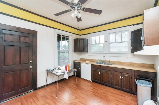 kitchen featuring sink, white dishwasher, ornamental molding, and light wood-type flooring