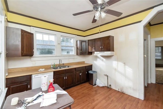 kitchen featuring dark brown cabinetry, crown molding, sink, light hardwood / wood-style flooring, and dishwasher