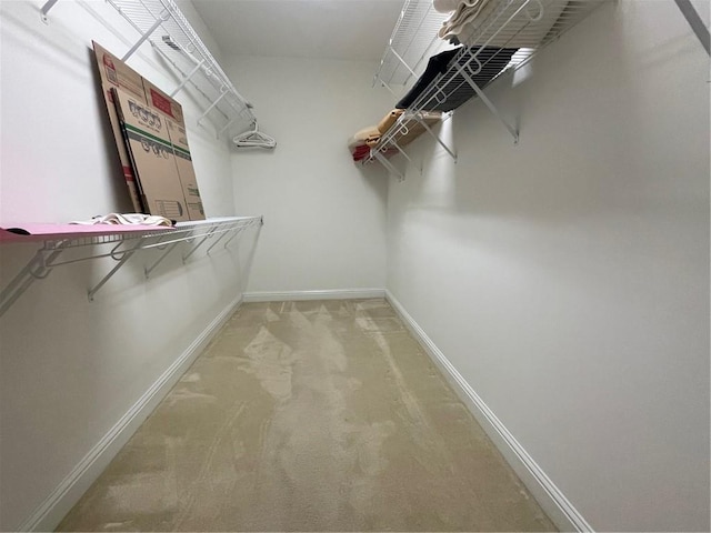 spacious closet with light colored carpet