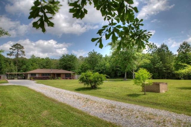 view of property's community featuring driveway and a yard