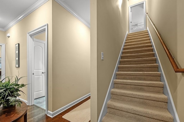 stairway with crown molding and wood-type flooring