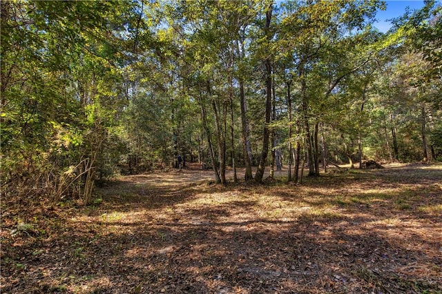 view of local wilderness