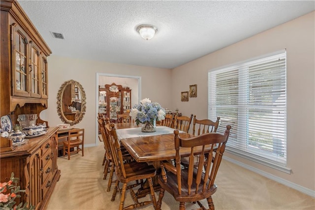 carpeted dining area with a textured ceiling