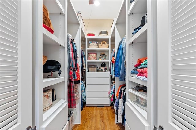 spacious closet with light wood-type flooring