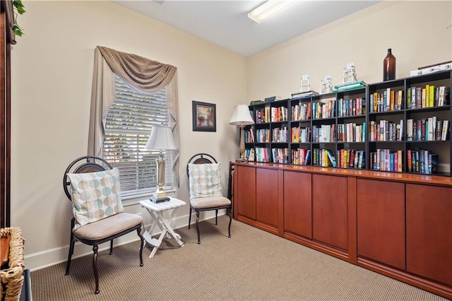 living area with light carpet