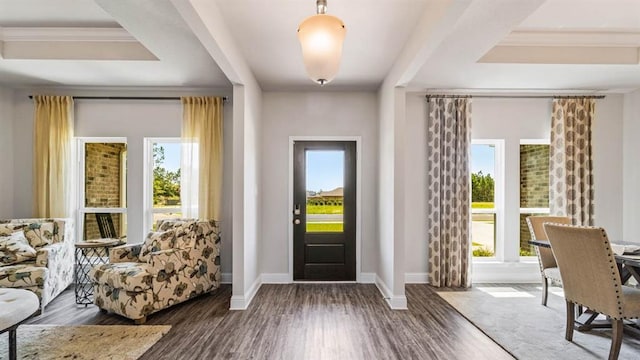 2260 Nadine Ln, Mobile, AL 36695 - entryway featuring plenty of natural light, baseboards, wood finished floors, and a tray ceiling