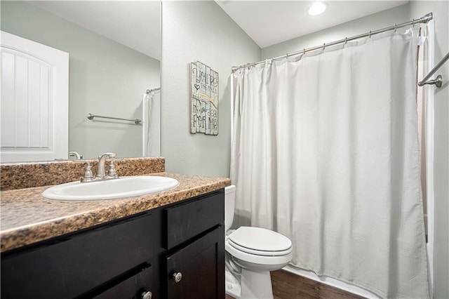 bathroom featuring vanity, wood-type flooring, and toilet