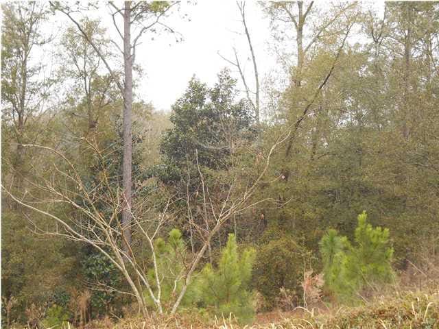 0 Caleb Ct Unit 6, Semmes AL, 36575 land for sale