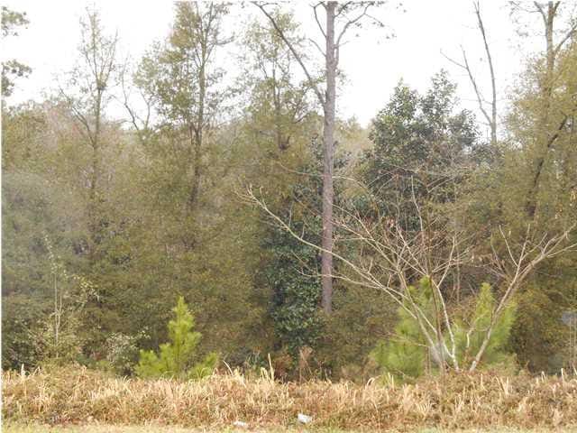 Listing photo 2 for 0 Caleb Ct Unit 6, Semmes AL 36575