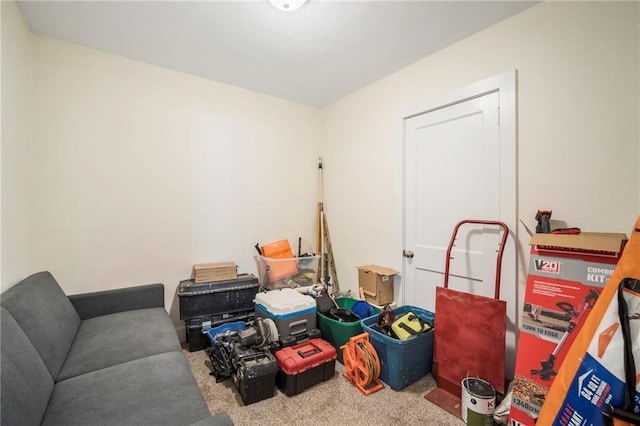 interior space with carpet flooring