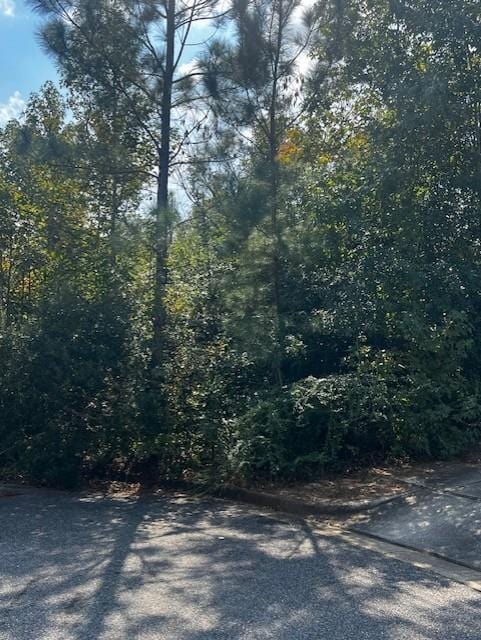 0 Oxbridge Way, Mobile AL, 36695 land for sale