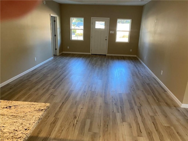 foyer entrance with hardwood / wood-style flooring