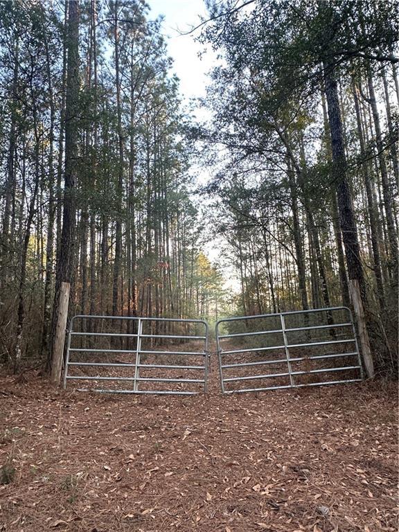 0 Reed Rd, Citronelle AL, 36522 land for sale