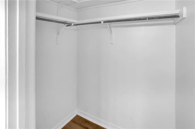spacious closet featuring dark wood-style floors