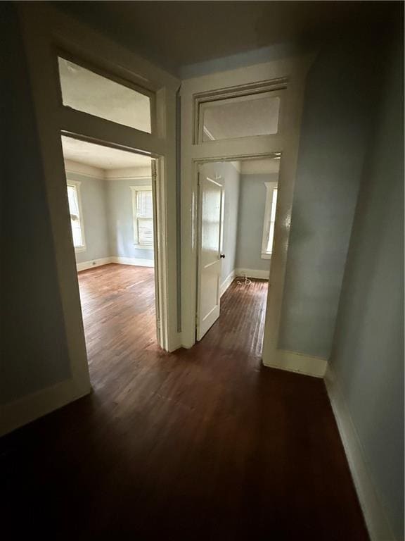 corridor with baseboards and dark wood-type flooring