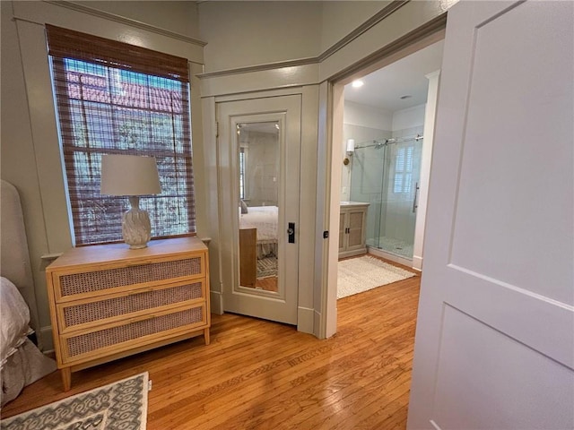 doorway to outside featuring light hardwood / wood-style flooring