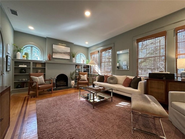 living room featuring wood-type flooring