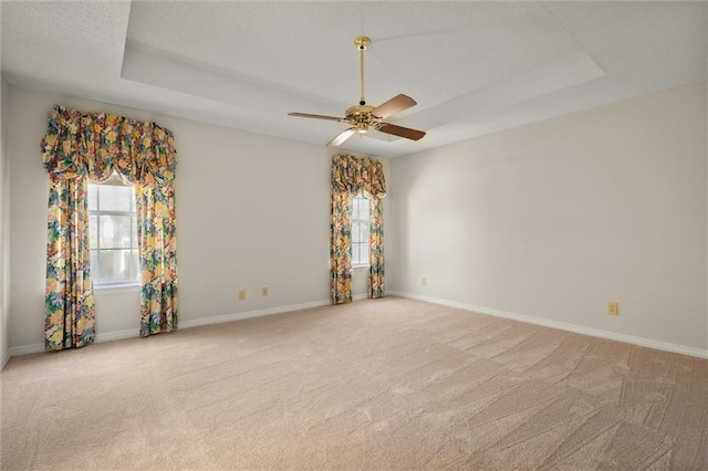 spare room with light colored carpet, plenty of natural light, and a tray ceiling