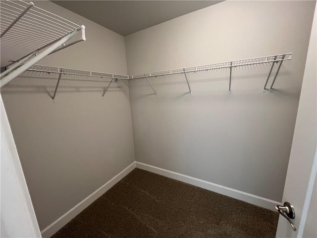 spacious closet featuring dark colored carpet