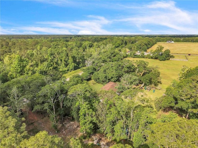 18127 County Road 10th Rd, Foley, AL 36535 - bird's eye view with a wooded view