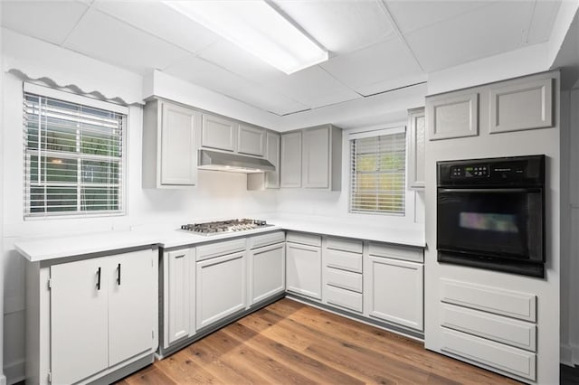 kitchen with a paneled ceiling, gray cabinetry, stainless steel gas cooktop, hardwood / wood-style flooring, and black oven