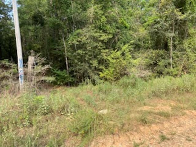 7451 Shalimar Dr E, Wilmer AL, 36587 land for sale