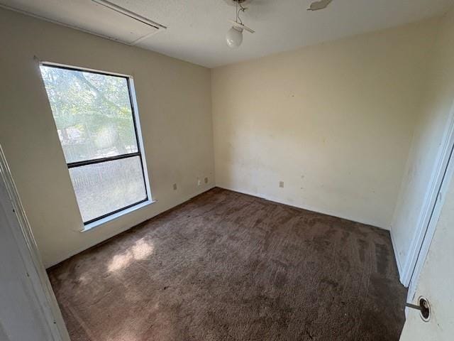 carpeted spare room featuring a wealth of natural light