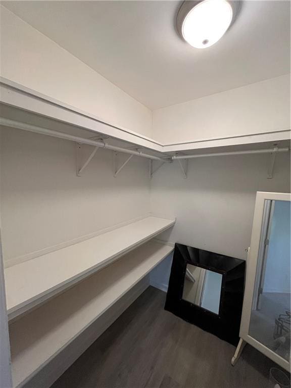 spacious closet featuring dark wood finished floors
