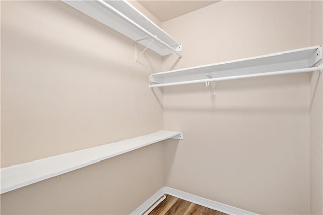 10966 Brighton Dr W, Chunchula, AL 36521 - walk in closet with wood finished floors