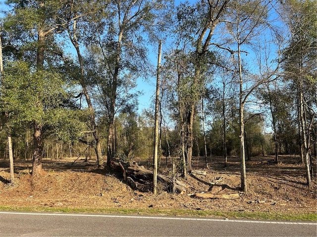 0 Newman Rd, Mobile AL, 36695 land for sale